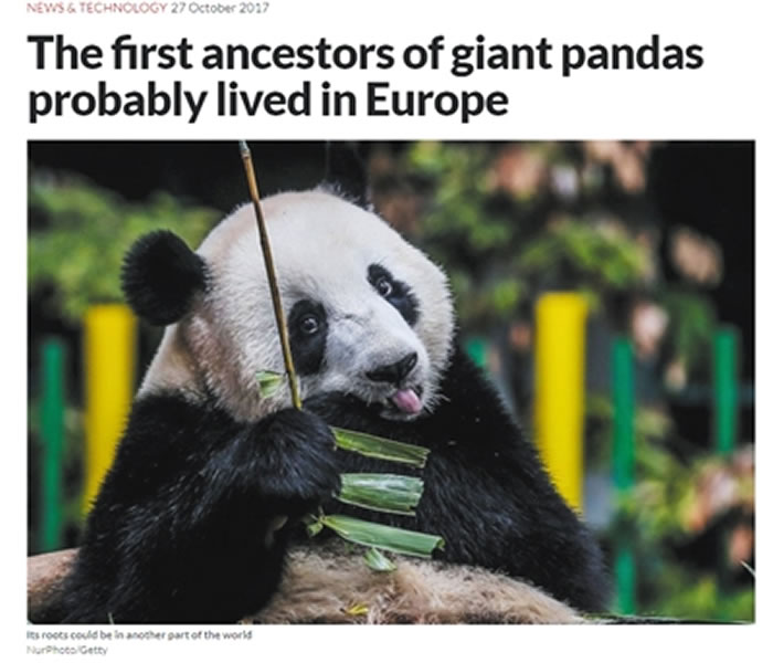 ���¿�ѧ�ҡ�����������������è��ʯ�ı�����