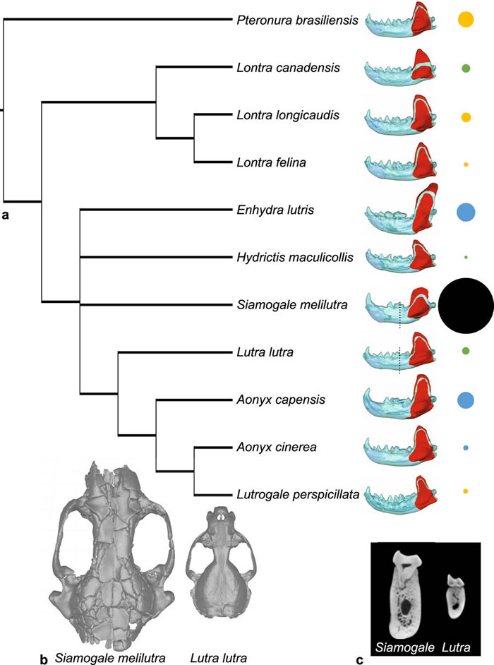 ������ͨˮ���ӳ��������ǻ�ʯ��ʾ����ˮ̡Ϊ600����ǰ����ʪ�������еġ�������