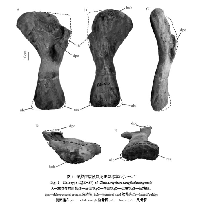 ɽ����������һ�µľ��������������갼�ׯ��Ǿ�����