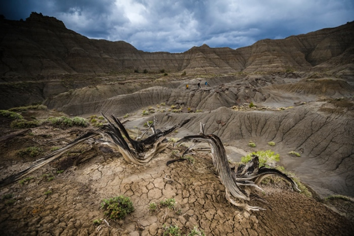 ���Ͳ�ʳ�Կ��������κ�ʱ�򶼳���