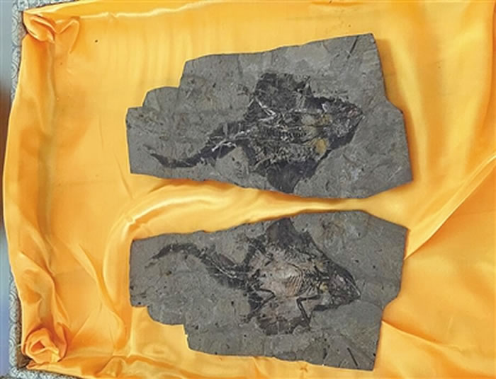 �����������޻�ʯ