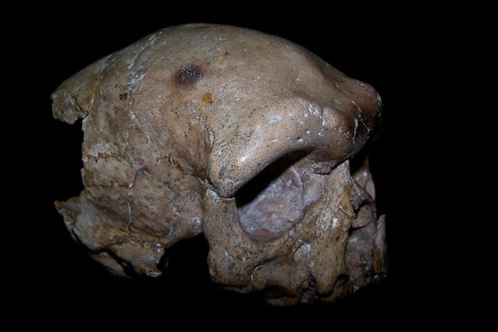 �й��������ֵĴ�����ͷ�ǻ�ʯ�о��������ִ�����򲢷�ȫ���Ƿ������ȵĺ���