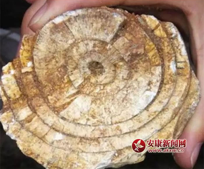 �����������������������ǰ����������ʯ