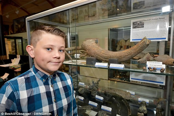 Ӣ��13���к��ں�̲��Ѱ����ʱ�����ԭţ�ǻ�ʯ