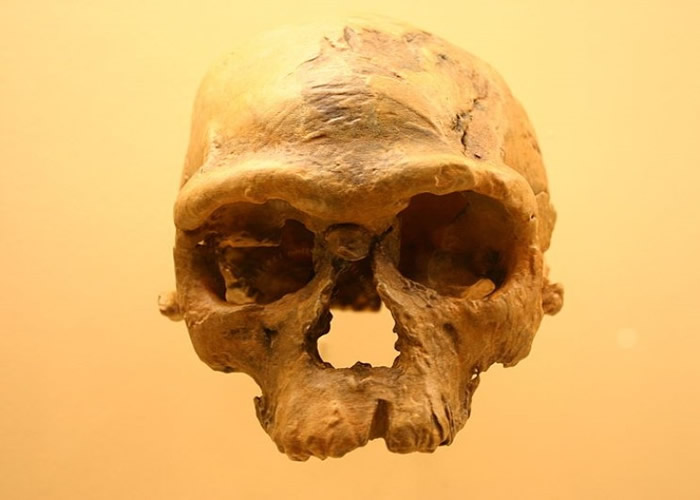 ���޵�������12����ǰ�����ź���ʯ ���дǨ����ʷ