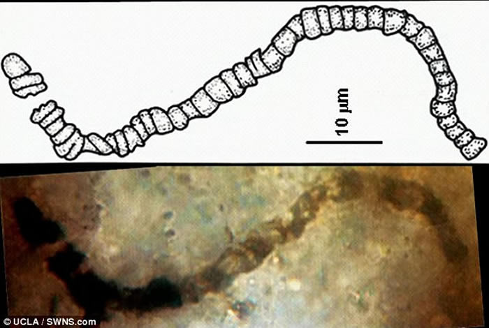 �Ĵ����Ƿ�����������ϻ�ʯ����������35����ǰ�����ڵ����ϳ���