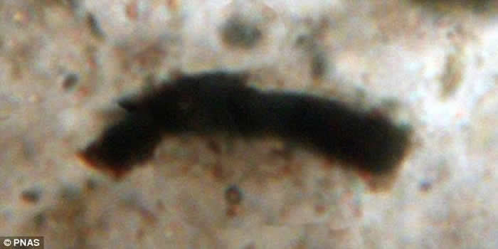 �Ĵ����Ƿ�����������ϻ�ʯ����������35����ǰ�����ڵ����ϳ���