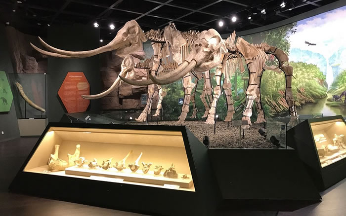 ���ݲ���ݶ���������ʯ��1921���������Ų�ʿ��©�ı��� 86��󱻻�ʯ�����߷���