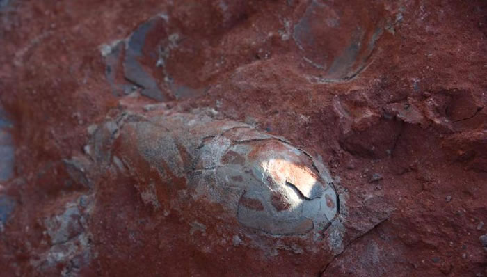 ����ʡ������һ���ط���20��ö1.3����ǰ�Ŀ�������ʯ