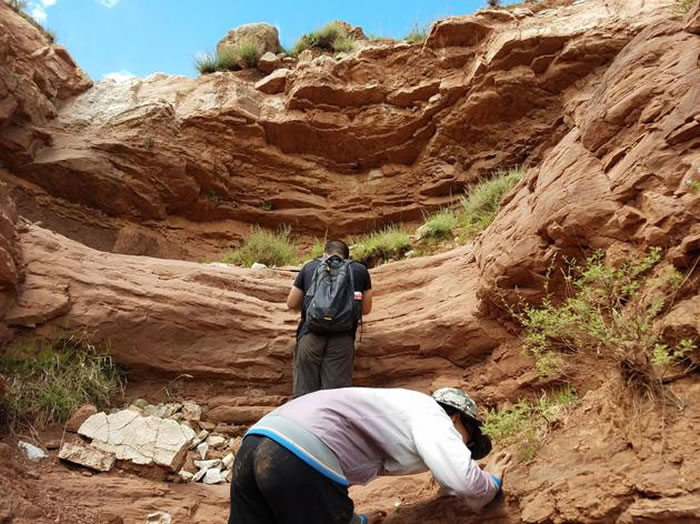 �й����ʴ�ѧ����������һѧ�������ط������������������㼣��ʯ