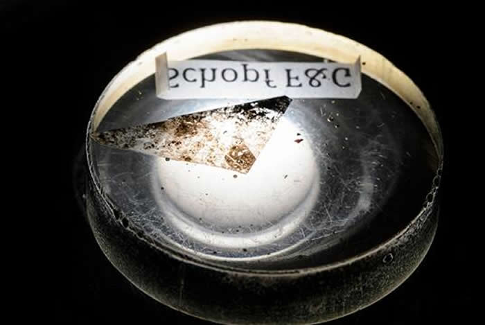 ͼΪ����˹���Ƕ�������������ʵ�������������ͼƬ����ʾ���ڰĴ�������������ʯ����з��ֵİ��������� 35 ����ǰ��ʯ�Ļ�����֧֬�ܡ�