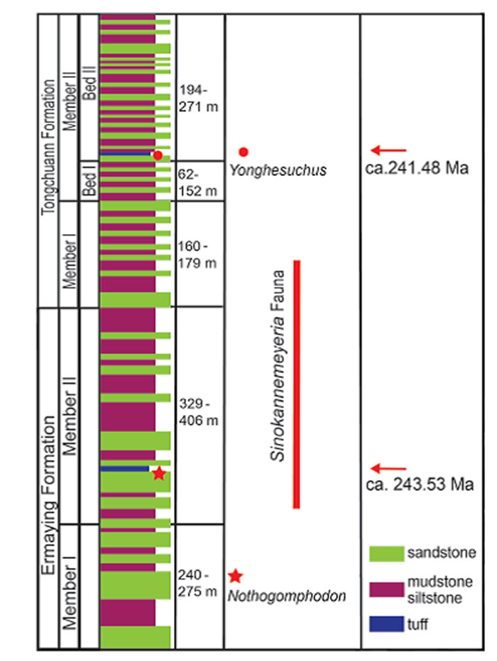 �����͸߾����ʯ�����½�չ�����й������޶���Ⱥ��ʱ���Լ��й�½��������ͳ�ĵ׽�