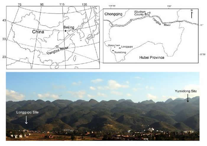 ���׶���ַ����λ��