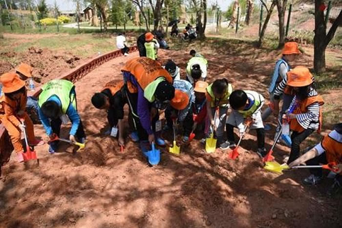 ���Ļ�+��ѧ���������������ɡ�����