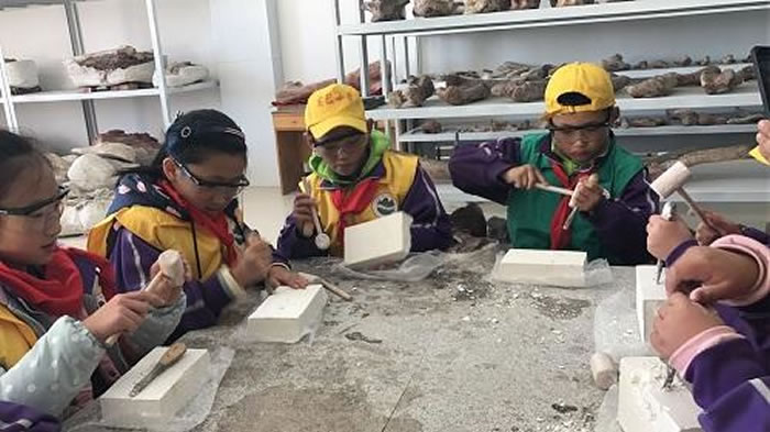 ���Ļ�+��ѧ���������������ɡ�����