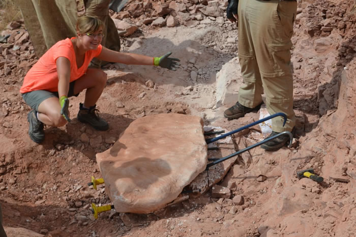 �Ϸ��о���Ա��CTɨ��2����ǰ��׵��ͷ�ǻ�ʯ 3Dģ���ļ��ѿ�������