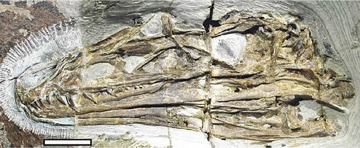 ������ѧ�ҷ���1.61����ǰ�Ĳʺ����