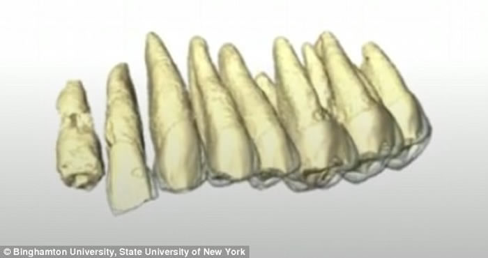 ��ɫ��ʷǰ��Ѩ��ַ���ַ���֮��������ִ����໯ʯ������˹����-1