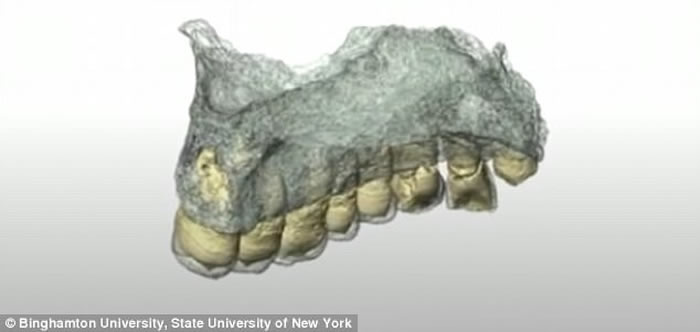 ��ɫ��ʷǰ��Ѩ��ַ���ַ���֮��������ִ����໯ʯ������˹����-1