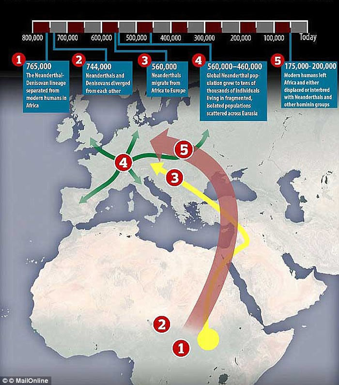 ��ɫ��ʷǰ��Ѩ��ַ���ַ���֮��������ִ����໯ʯ������˹����-1