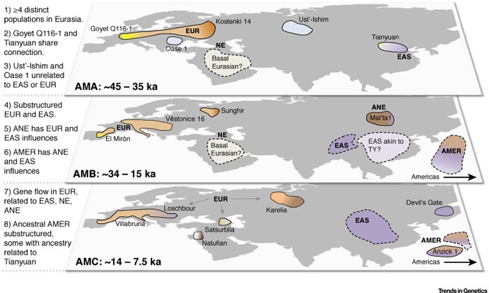 距今7500-45000年间欧亚人群（和美洲人群）的样本分布与演化分析图（引自文章）。该图划分三个时期人群：早期现代人群A、B、C（AMA、AMB、AMC）；不