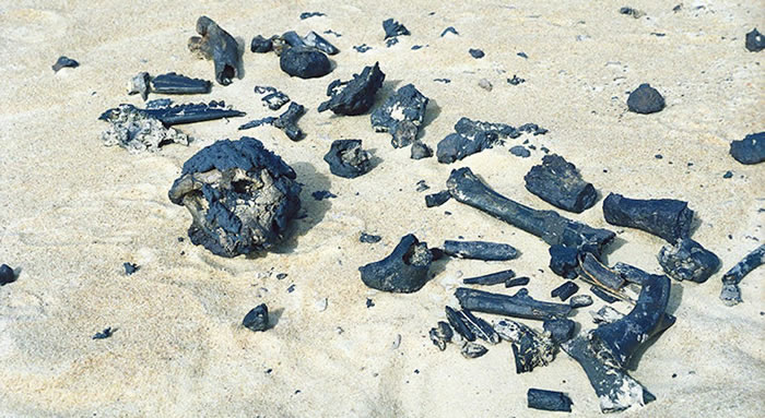 �ǹ����������700����ǰ�ɹǻ�ʯ��������