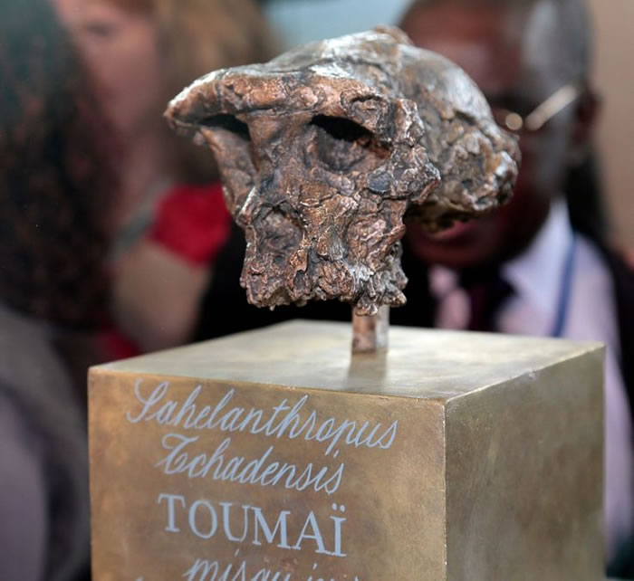 �ǹ����������700����ǰ�ɹǻ�ʯ��������