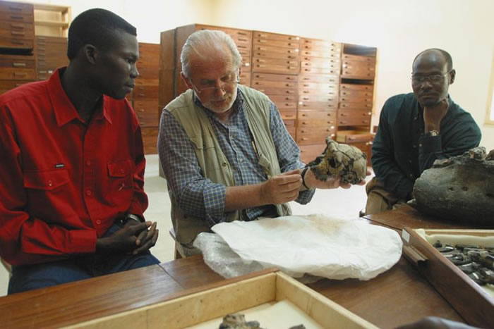 �ǹ����������700����ǰ�ɹǻ�ʯ��������