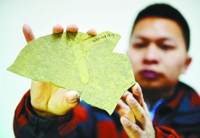 ������Աչʾ8����ǰ�Ļ�ʯ������ ��