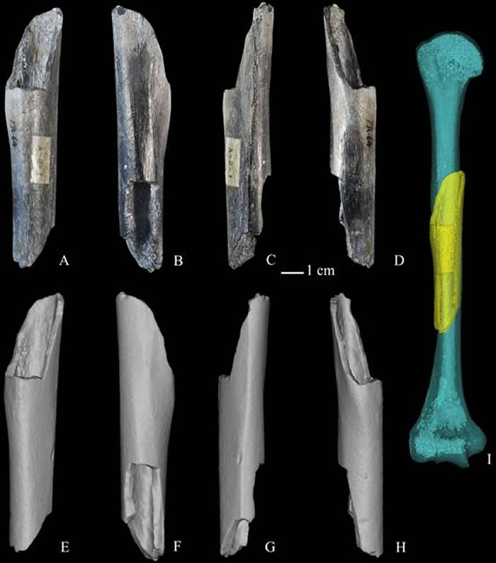 �ܿڵ�ֱ�����Ź�-ԭ������΢�ϲ�ɨ������ά��ԭ�����ɹ�ͼ��