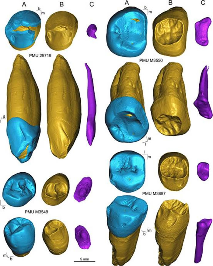 ������������������ѧ��4���ܿڵ�ֱ��������-��΢�ϲ�ɨ�輰��ά��ԭ�����׹�ͼ��