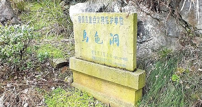 �㽭�������ˡ����ִ�������Դ���۵�����