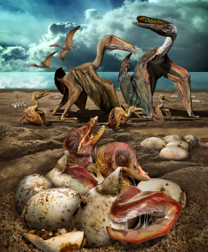 ����������̬��ԭͼ���Դ��棩