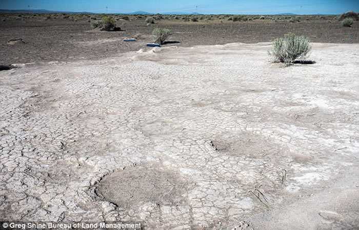 �������ո��ݷ��ֵ�Զ����Ȼ�����㼣��ʯ�ṩ����