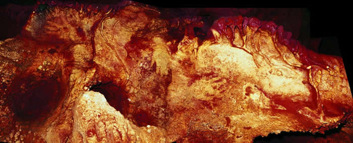 洞穴艺术和彩绘贝壳表明我们已灭绝的表亲“尼安德特人”是理解符号象征的艺术家