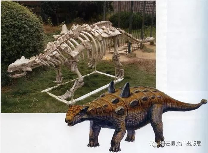 ���ƿ�����ʽ����Ϊ���й����Ƽ�����