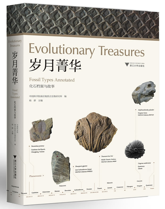 ������ݼ��������ʯ��������¡�ר����ʽ����