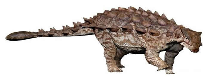 中国缙云甲龙复原图(张宗达绘)