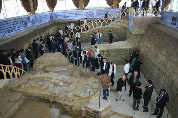 ������ʯ���ҵ��ʹ�԰����ʯ��ѧ�λ���