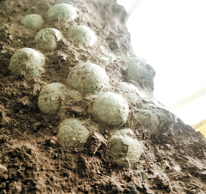 ��һ�ѿ�������ʯ�����ʮ������ ���������� ���� ��