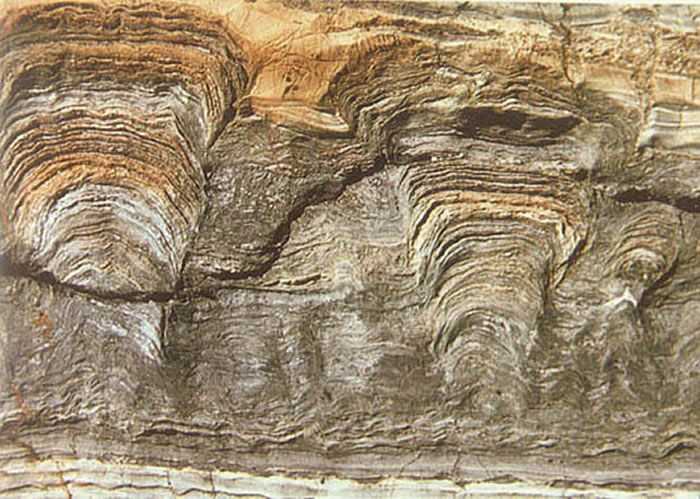 ����ͼ������ʯ