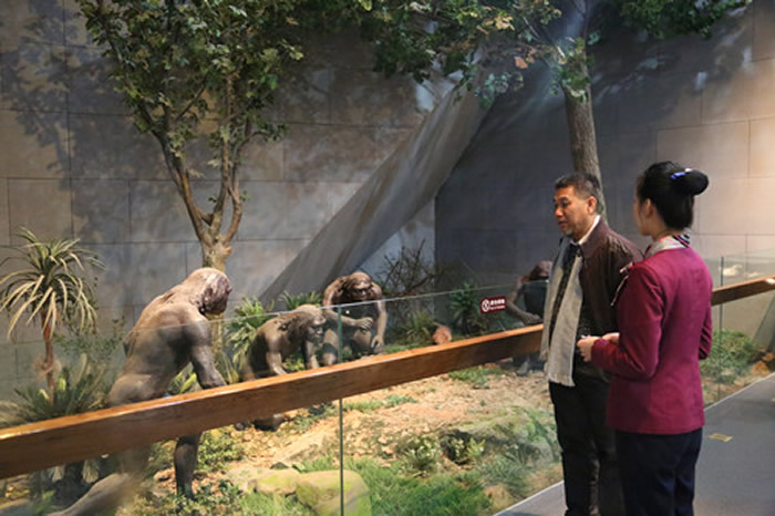 ������Գ���߽��������ǡ����ܿڵ���ַ����չ�������������ǹ��Ҳ���ݿ�չ