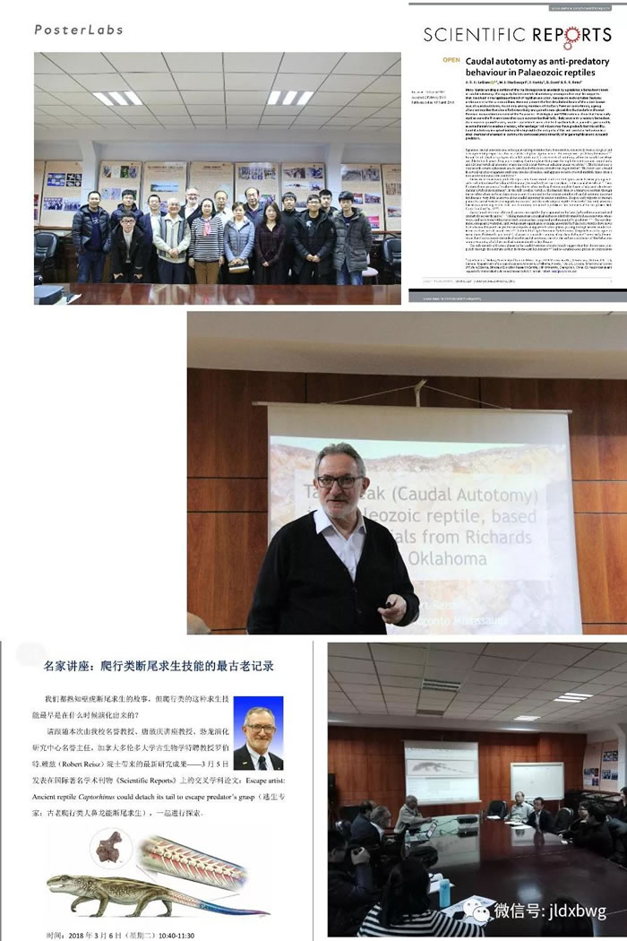 2.89����ǰ����������о��������ж����β������Ϊ������ϻ�ʯ��¼