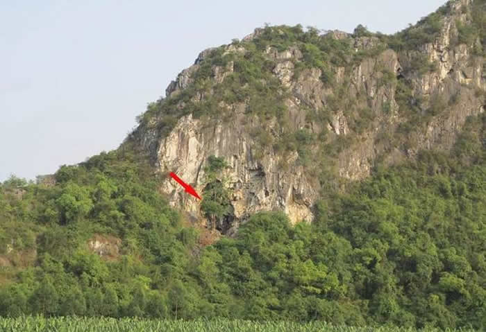 ����¡��櫻�����ַ����1.6����ǰ����ͷ�ǻ�ʯ�������ʯ��Ʒ