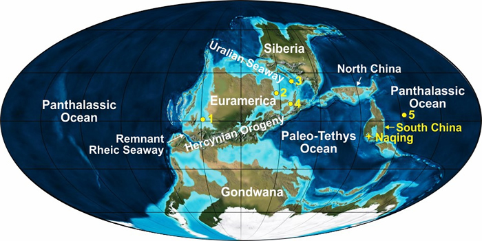 晚石炭纪全球古地理分布图;本项研究立足华南贵州罗甸纳庆剖面