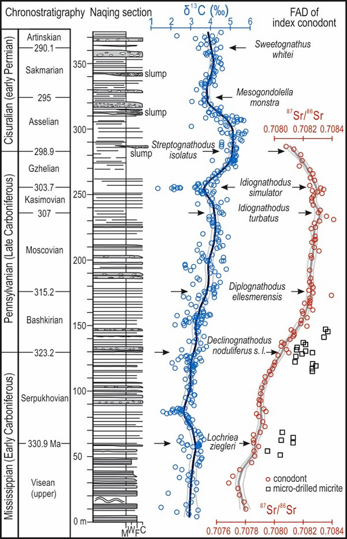 纳庆剖面柱状图及碳、锶同位素