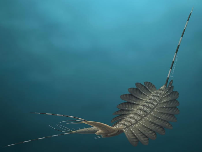 ������ѧ���ڸ�������5.2����ǰ��ʳ���ź��з��ִ��Ի�ʯ