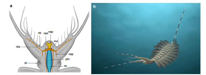 ������ѧ���ڸ�������5.2����ǰ��ʳ���ź��з��ִ��Ի�ʯ