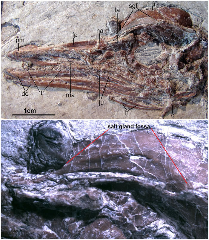 ����������������ٵķ���Ϊ���������ٵĴ����ṩ�������֤��