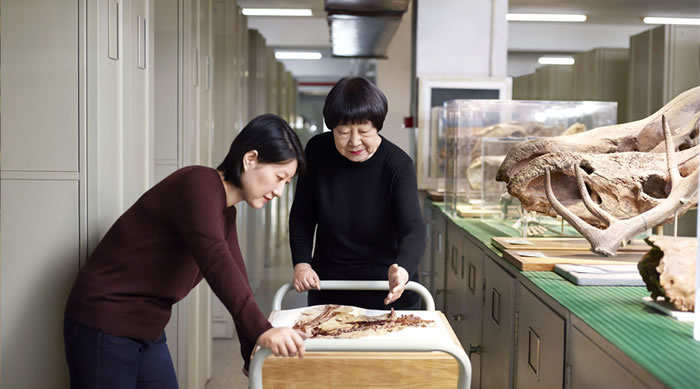 张弥曼介绍她的研究工作(摄于2018年)